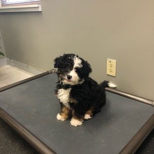 Meet your Posher, Kari